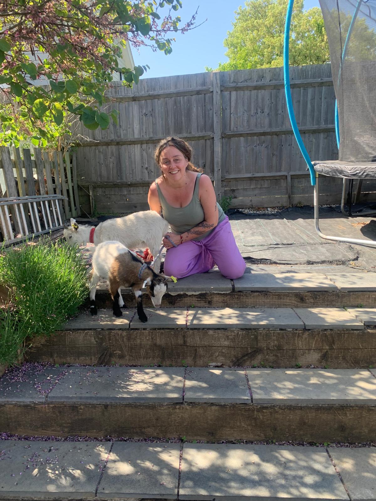 Animal therapy at Olive Branch Consulting